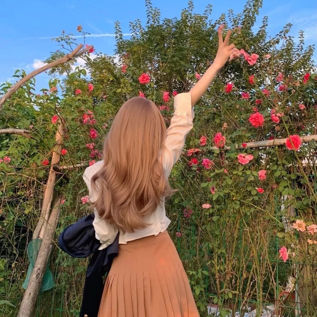 镖行天下前传之四百里加急